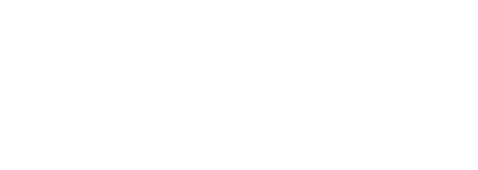 Swan - Cliente de Bagual Estudio